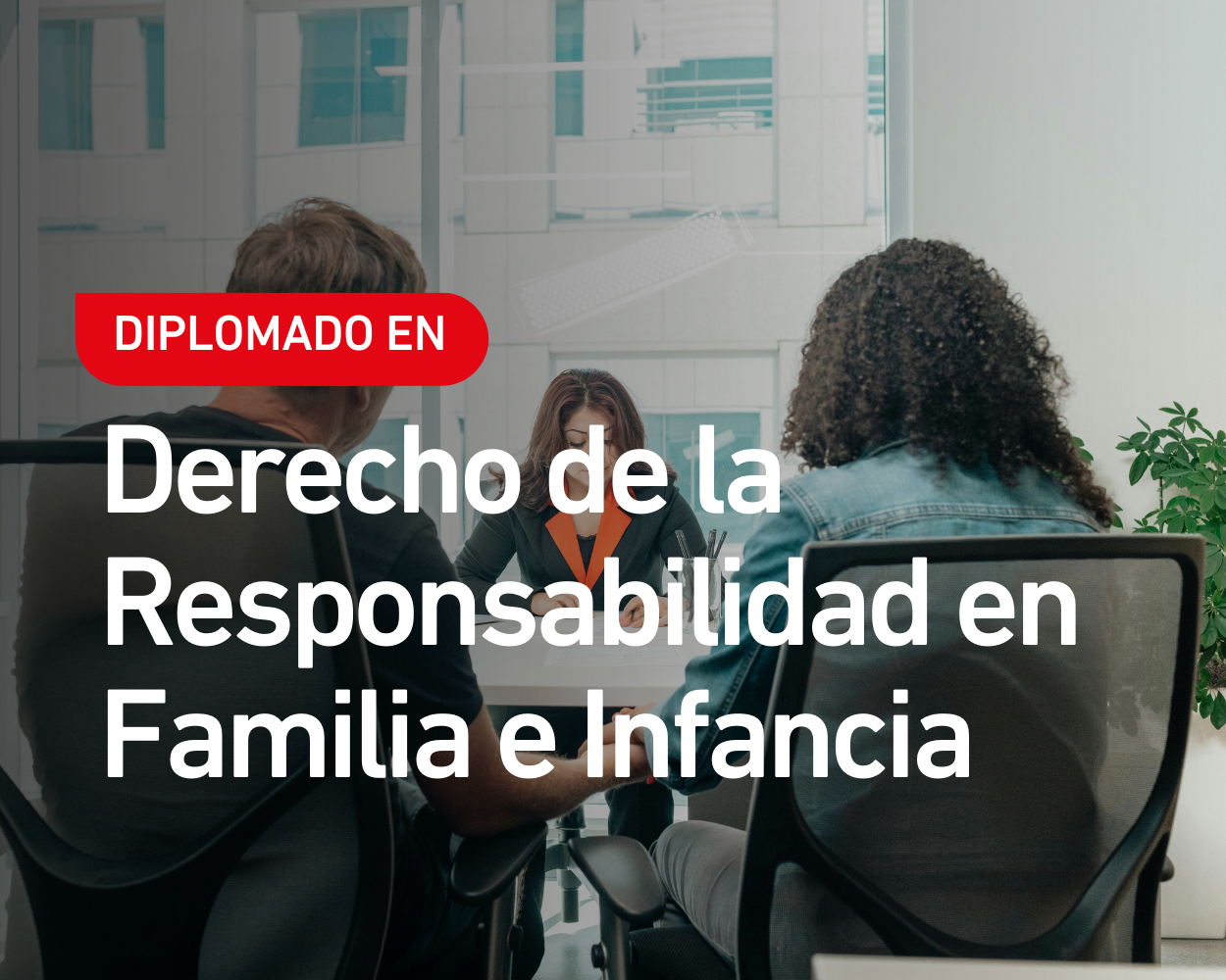 Diplomado en Derecho de la Responsabilidad en Familia e Infancia