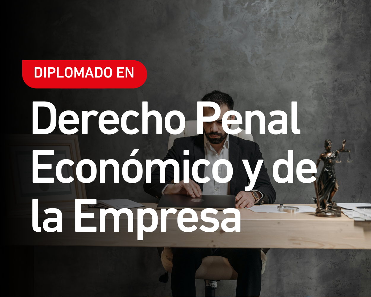 Diplomado en Derecho Penal Económico y de la Empresa