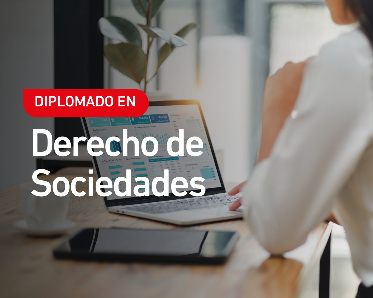 Diplomado en Derecho de Sociedades