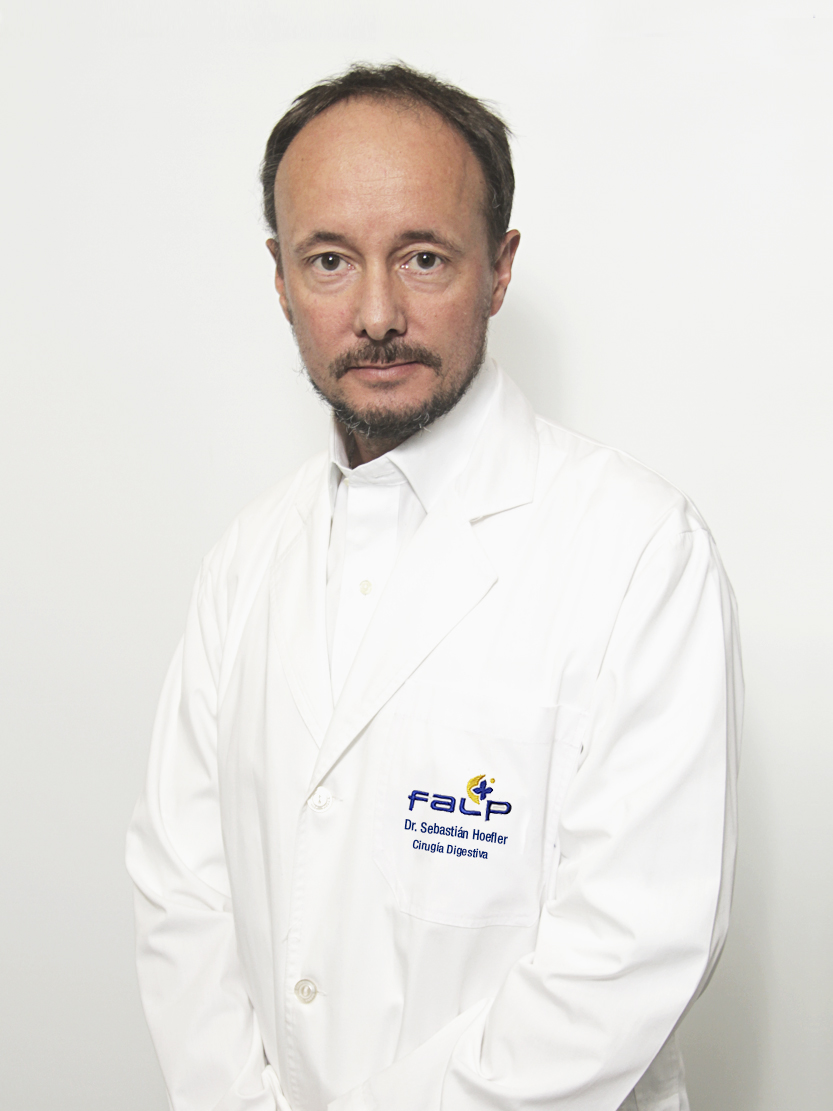 Dr. Sebastián Hoefler Steffen